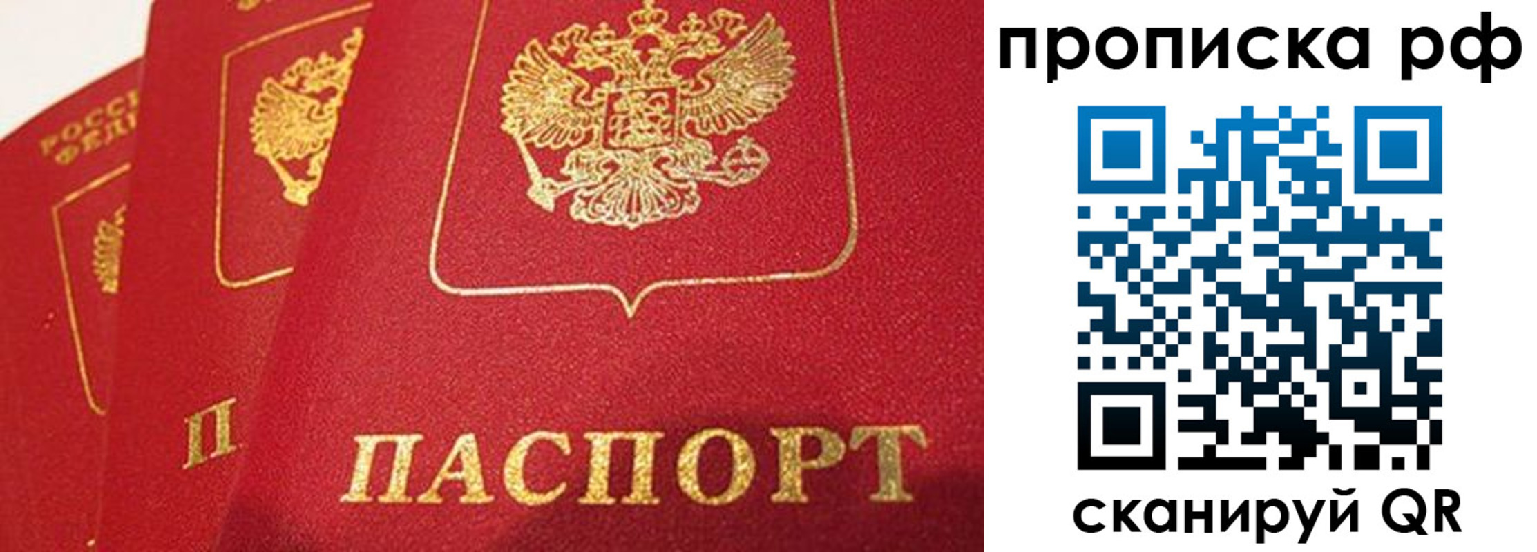 прописка в квартире в Белгороде